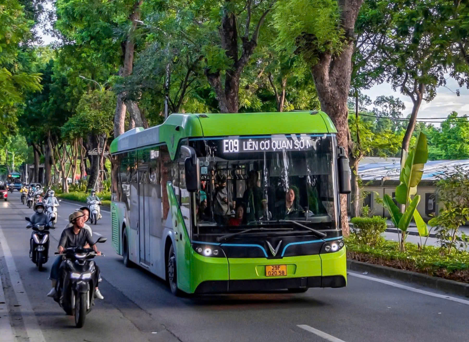 Hành trình 80 tuần ‘phủ xanh’ Việt Nam của Vingroup
